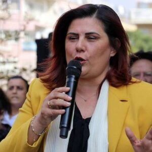 akp iddialari golgesinde ozlem cercioglunun 3 yil onceki sozleri gundemde YCJlbDGl