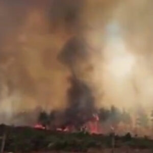 canakkalede kabus yeniden basladi denizgorundu koyunde yangin vsw9Xzzj