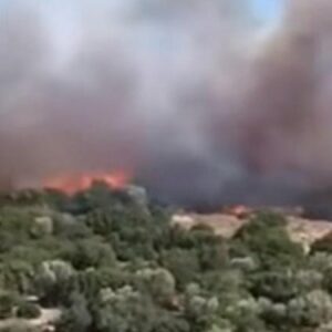 izmirde makilik yangini havadan ve karadan mudahale suruyor TXJfSBm8