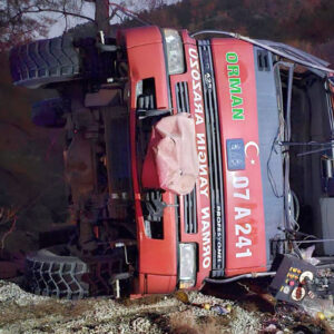 orman yanginina giden arazoz devrildi td2dXVSH