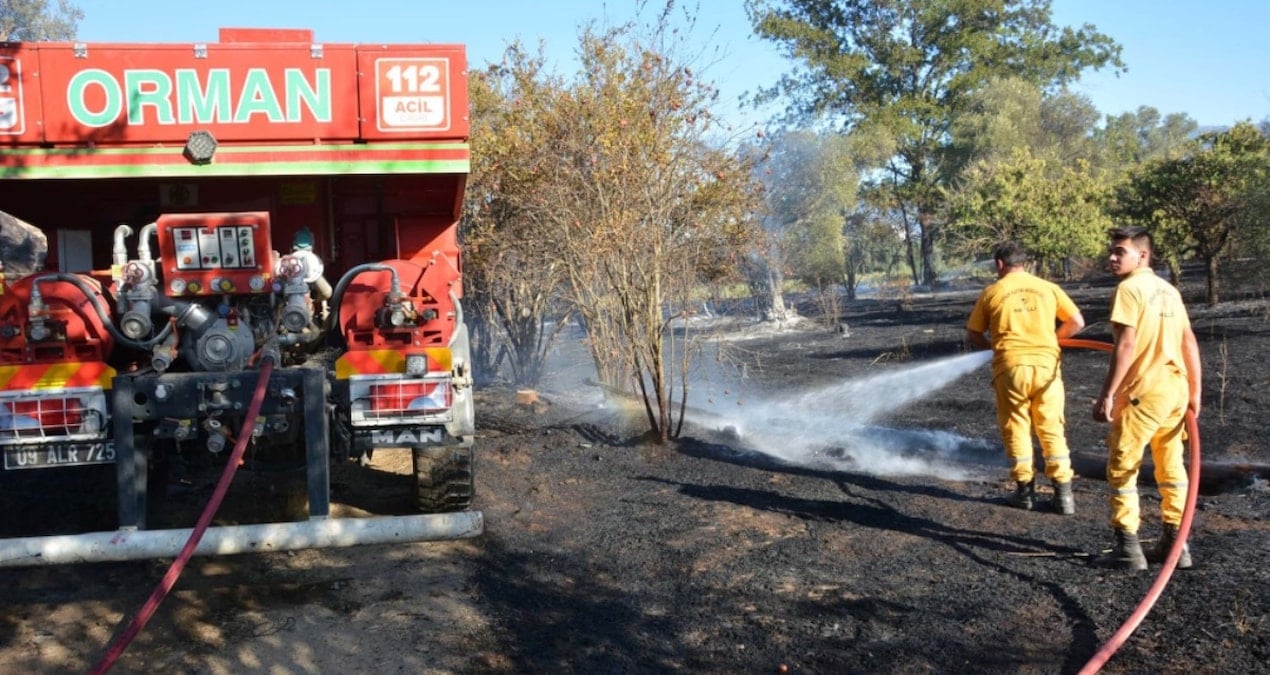 aydinda yangin zeytin agaclarini zarar gordu nODyhueU