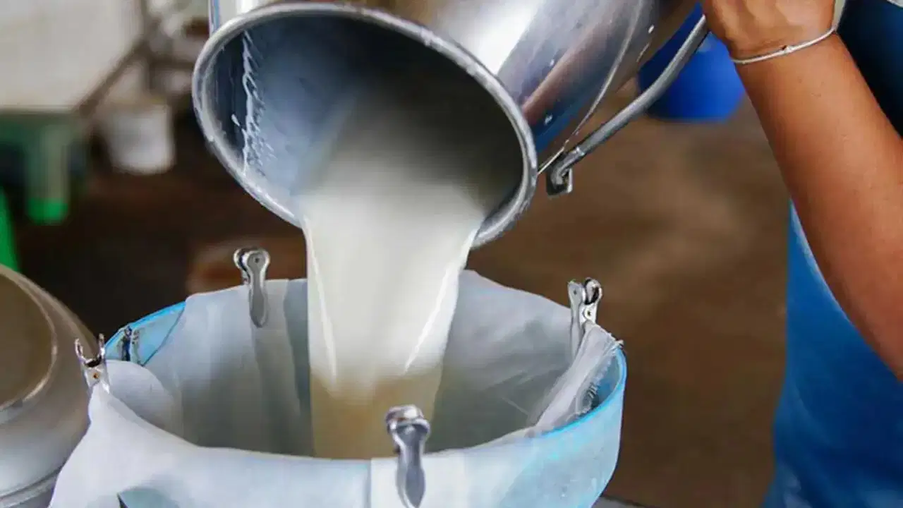 ulusal sut konseyi acikladi cig sut fiyatlarina zam geldi V7pInGuy