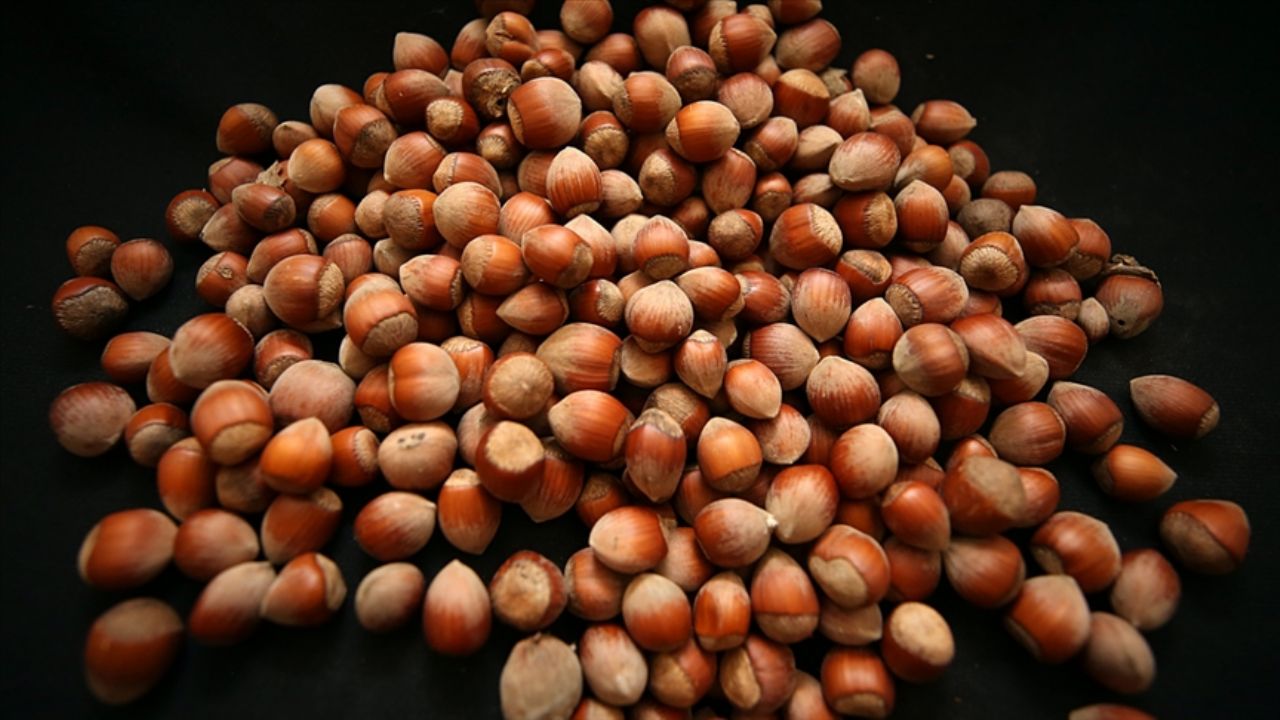 findikta alici da satici da iyi fiyat bekliyor wb7njXiW.webp