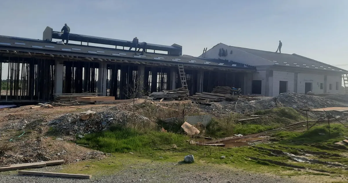 izmitten sokak hayvanlarina modern yasam alani L7xdm6Uz.webp