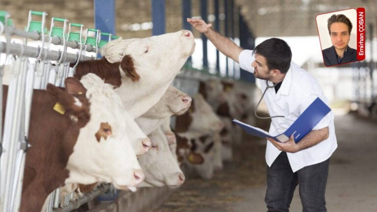 turkiye-gerceginde-artik-memurlar-da-alacaklarini-alamiyor-emekcinin-alin-teri-uzerinden-tasarruf-yapilamaz-xqG36jHU